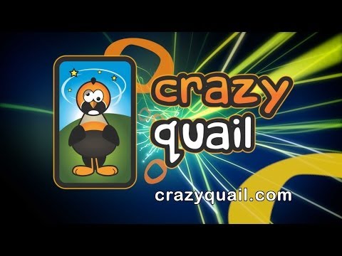Crazy Quail Target Shooting Fun
