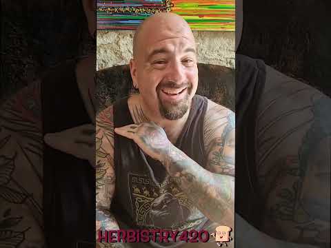 How High Were You Last Night: 5 Hilarious Clues