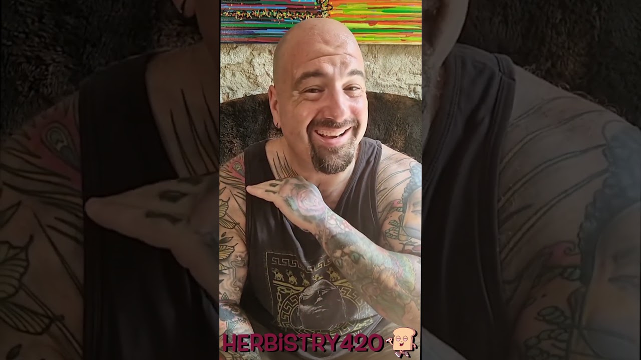 How High Were You Last Night: 5 Hilarious Clues