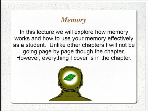 PSY101 Memory