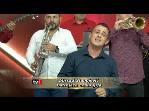 Mirsad Stanojević - Batrnjaca coala grja