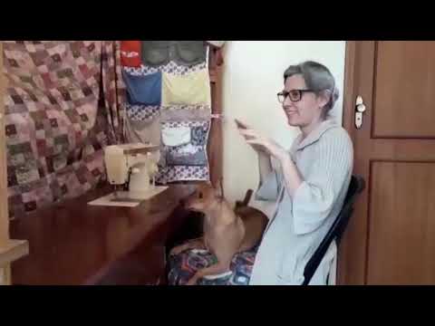 "A velha a Fiar" Um clipe produzido remotamente - Aula 7 - Feliz é quem Filma