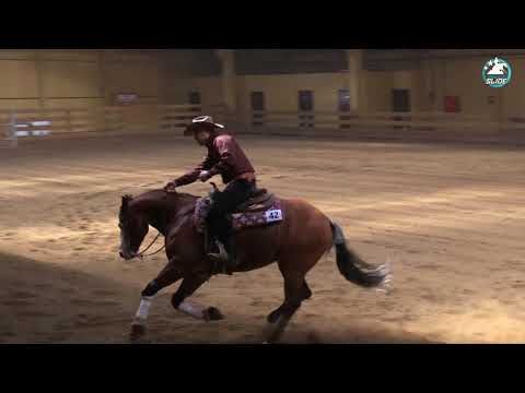 You Can Slide 2018 NRHA Novice Horse Open L2   Showoff Spooks42 Adrian Motyka