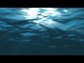Electric Light Orchestra - The Whale