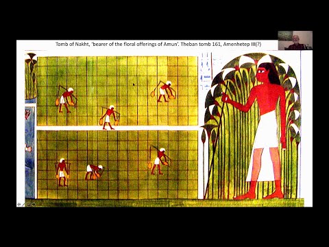 Gardens of Amarna by Barry Kemp 9-13-2020