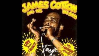 James Cotton      ~     ''Tramp'' & ''Mean Old World''  Live 1967