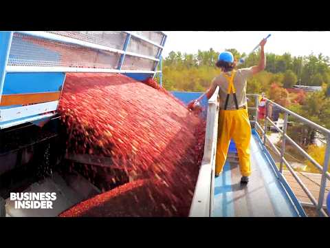 Business Insider and Insider Food