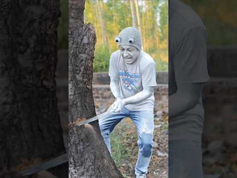 El ÁRBOL MISTERIOSO 😰 #shorts #viralvideo