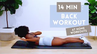 14 MINUTE BACK WORKOUT FOR STRONGER BACK + BETTER POSTURE | NO EQUIPMENT | BEGINNER + INTERMEDIATE