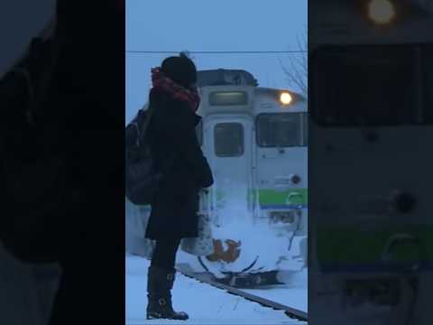 ผู้โดยสาร 1 คน แต่รถไฟไม่เคยมาสาย!