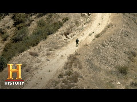 The Selection: Exit Interviews - Episode 6 | History