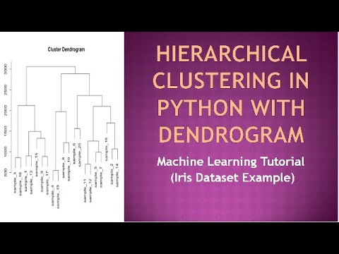 Hierarchical Clustering In Python With Dendrogram Machine Learning Tutorial Iris Dataset Example