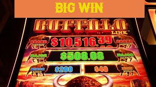 🎰 BIG WIN BUFFALO LINK SLOTS 🎰
