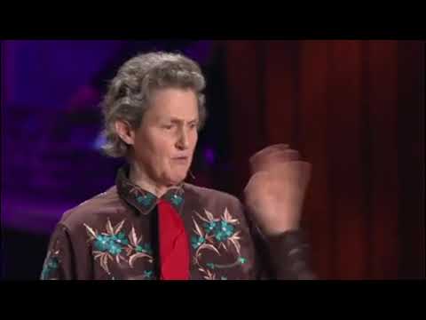 Dr  Temple Grandin Describes Thinking in Pictures (LV sub.)