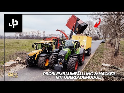 Removing dangerous trees with a 38-ton crane! Short documentary JP Agrar