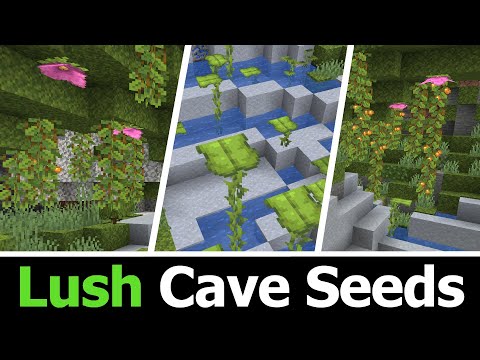 Eyecraftmc - Top 10 Lush Cave Seeds for Minecraft 1.20