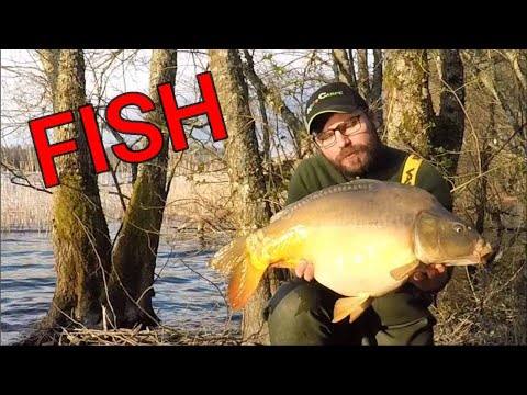 Chancelade avec Jordan carpe Elite on pêche comme korda :)