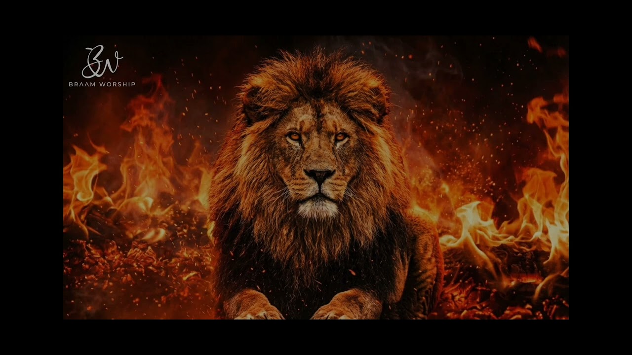 Screen 121157 NewPipe