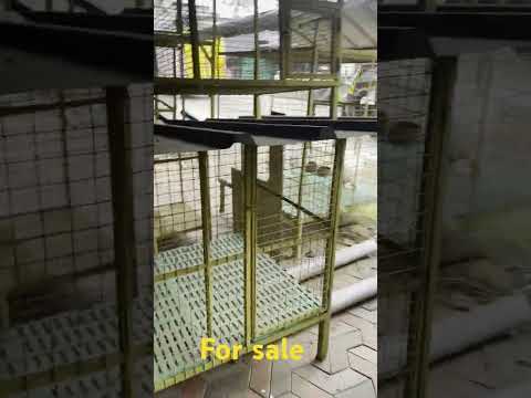 Dog cages | Mubeena pets perumbavoor. #cage #dogcage #pets #kerala