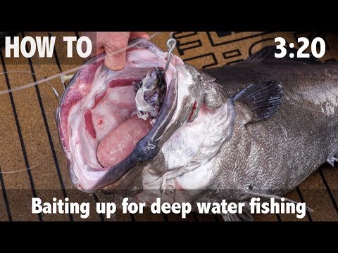 Baiting up for Deep Water