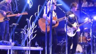 Hungry Hands - The Common Linnets