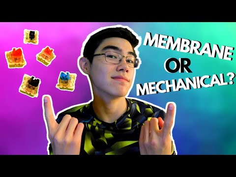 Outemu Switches VS… Membrane?! Black, Blue, Brown, & Red Comparison to Membrane