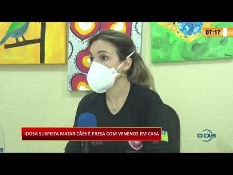Idosa suspeita de matar caÌƒes eÌ presa com venenos em casa 24 08 20