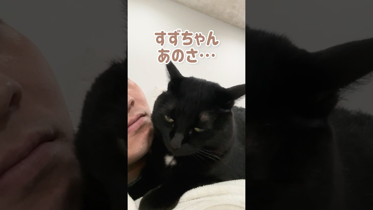 【独身👨‍💼】帰宅すると猫が…。