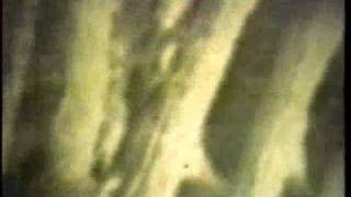 Hora Local - Londres (1991)