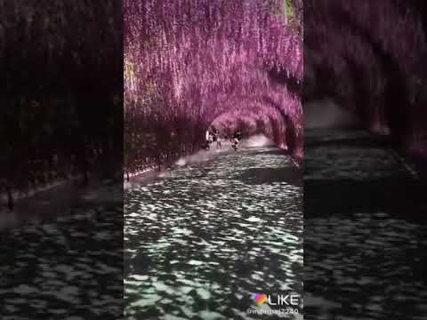 download lagu mp3 mp4 Chahunga Main Tujhe Hardam Dj Ringtone Mp3, download lagu Chahunga Main Tujhe Hardam Dj Ringtone Mp3 gratis, unduh video klip Chahunga Main Tujhe Hardam Dj Ringtone Mp3