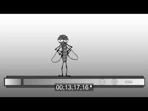 Komar i Mucha- Making-Of- wersja nieocenzurowana