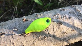 Оптимальный комплект приманок для ловли голавля