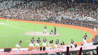 【Dragon Beauty】@台北ドーム(台北大巨蛋) 20240916#台湾チア #cheerdance