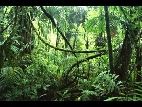 HECTOR ZAZOU L' Apparition