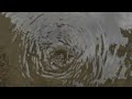 Akash Roy Cricket Lover Rainy Season Whatsapp Status ️