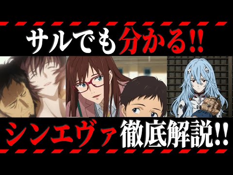 ペティーヌについて詳しく解説