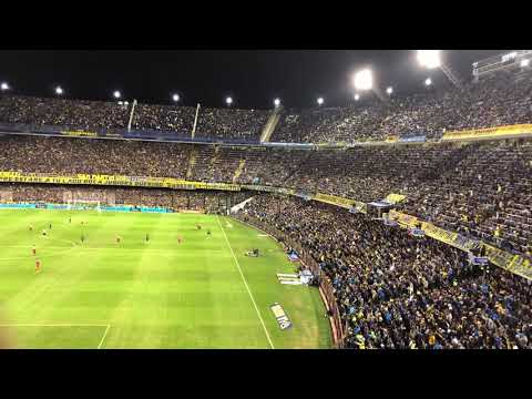"Las gallinas son asi - Boca Argentinos 2019" Barra: La 12 • Club: Boca Juniors