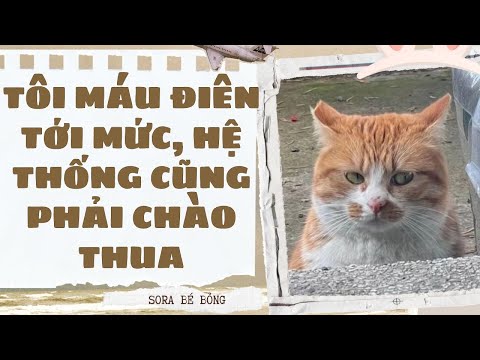 [Truyện Audio ] [FULL] TÔI MÁU ĐIÊN TỚI MỨC, HỆ THỐNG CŨNG PHẢI CHÀO THUA || Sora Bé Bỏng
