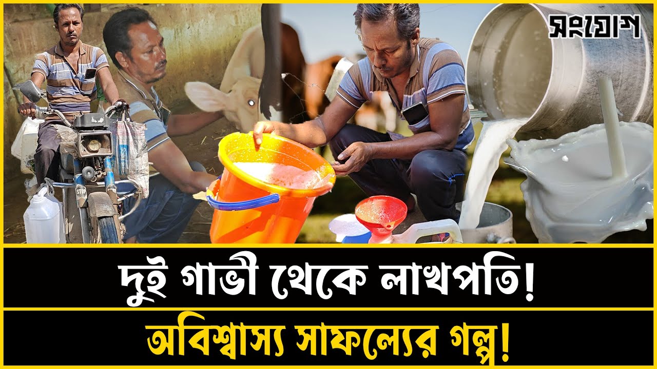 দুধের ব্যবসায় লাখপতি!