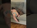 Baby Tries To Sit With Cat On Couch