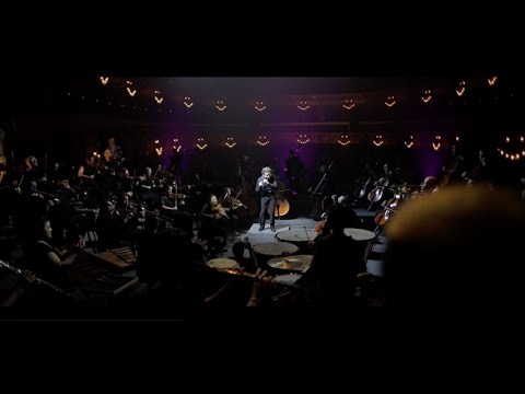 Video preview