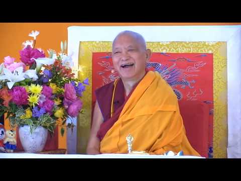 20190606 1330 LZR IVY FRANCE - Advice to sangha and what is important to remain ordained