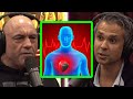 Dr. Aseem Malhotra Explains Myocarditis on JRE | Joe Rogan