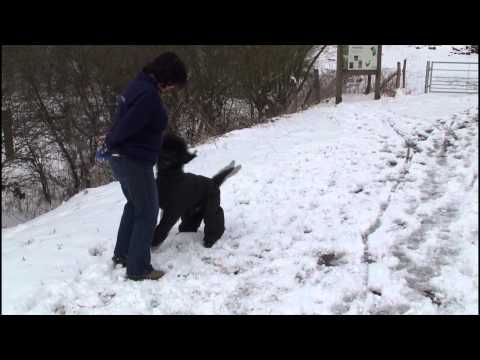 Waterproof Trouser Suit by showtech pt2