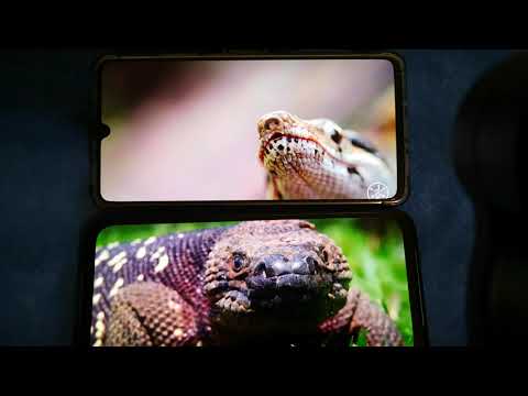 Black shark 3 pro VS Huawei mate 20x