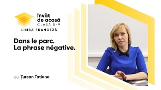 "Dans le parc  La phrase négative"