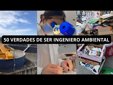 50 TRUTHS ABOUT BEING AN ENVIRONMENTAL ENGINEER (WHAT NO ONE HAS SAID) - Eng. Melissa Abrajan