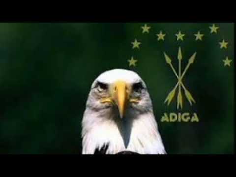 Adiga Song - Лъащэ Алъберт - Агуй Шапсыгъ (Aguy Shapsug)