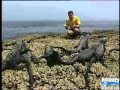JeffCorwinGalapagos