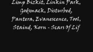Limp Bizkit, Linkin Park, Godsmack, Disturbed, Pantera, Evan